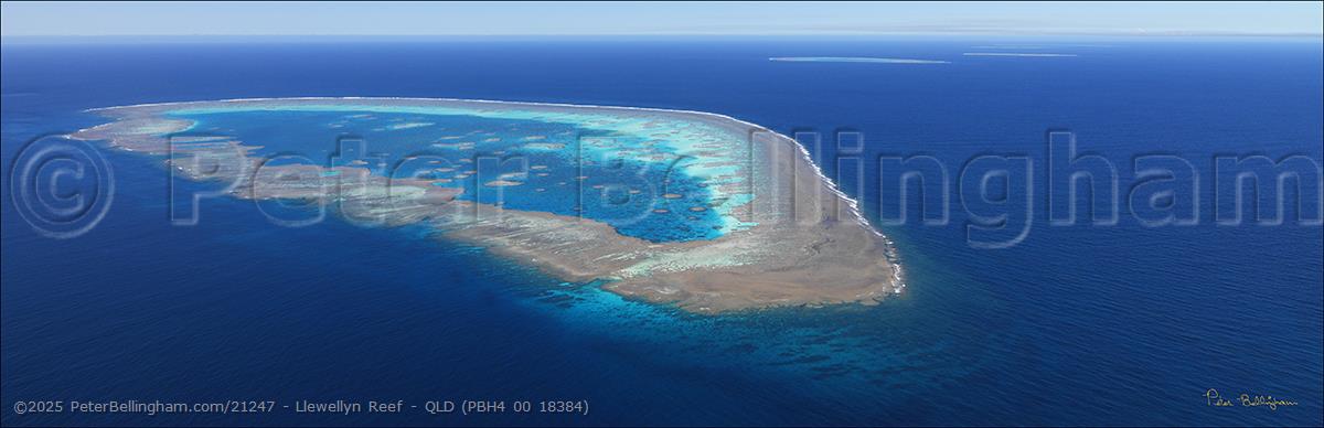 Peter Bellingham Photography Llewellyn Reef - QLD (PBH4 00 18384)